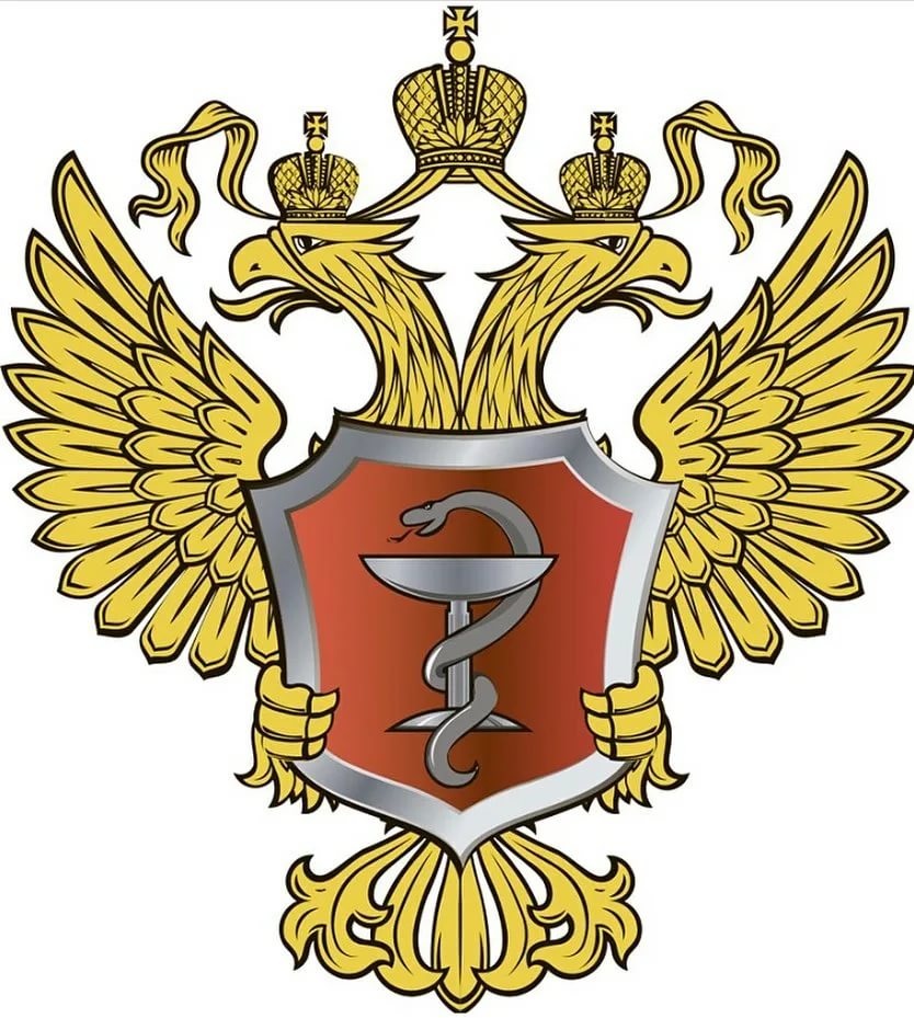 Партнеры